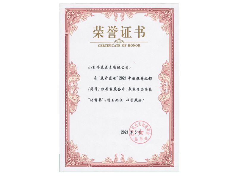優(yōu) 秀獎(jiǎng)